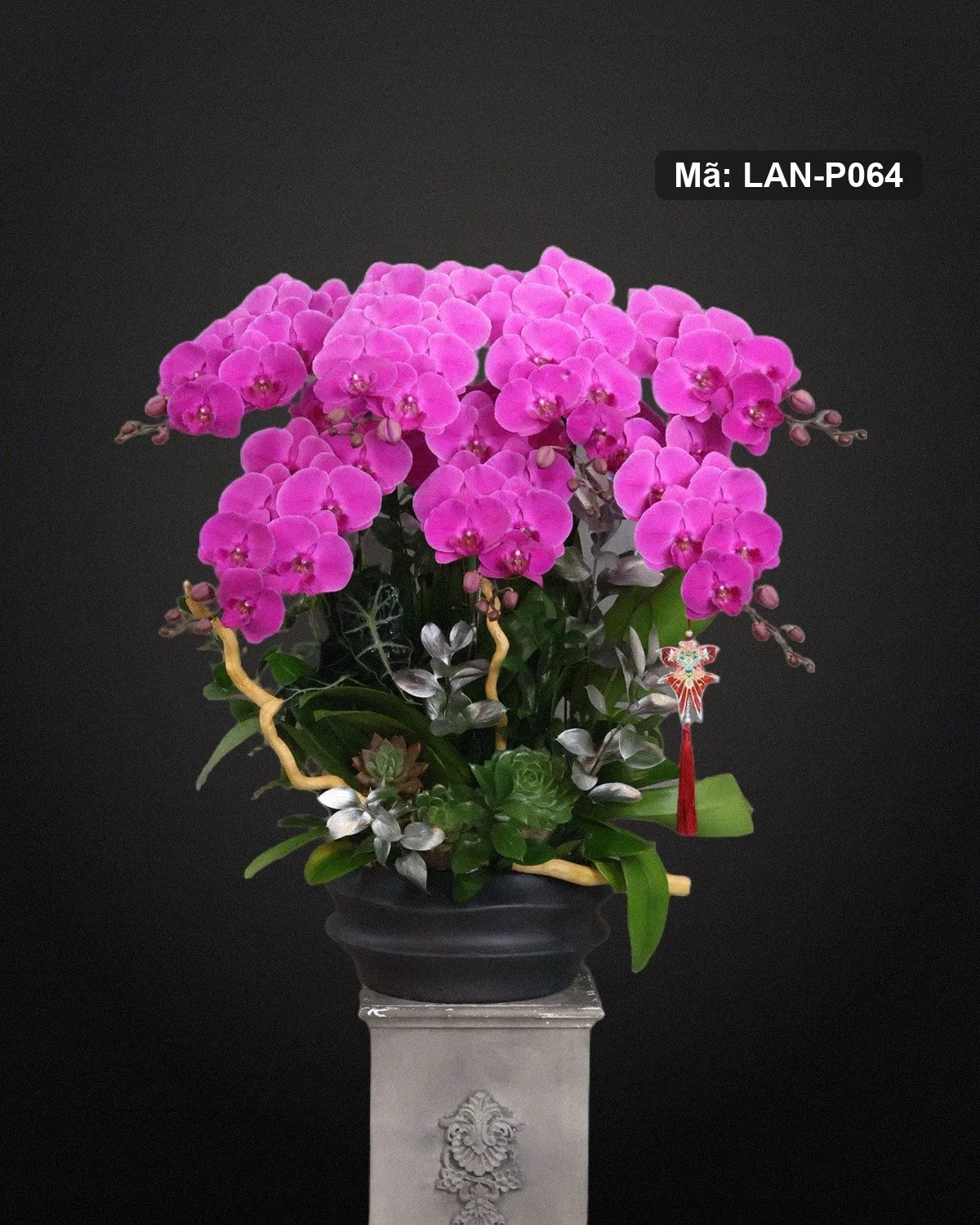 Chậu lan hồ điệp hồng sen — LAN-P064