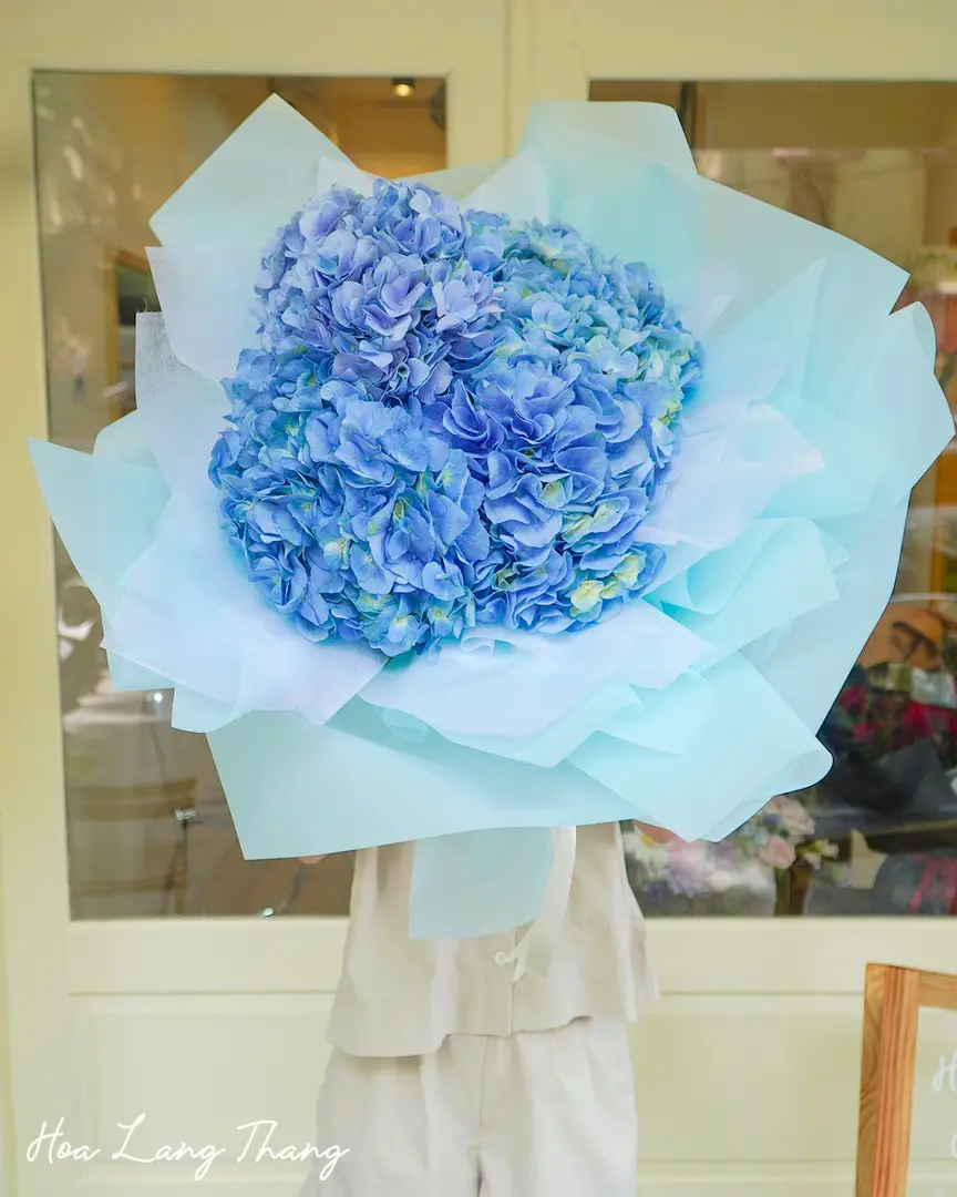 Bó hoa cẩm tú cầu màu xanh pastel lớn, kiểu cắm lạ mắt