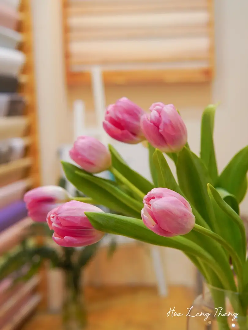 Bó hoa tulip hồng dễ thương cắm trong bình, tạo không gian tươi sáng