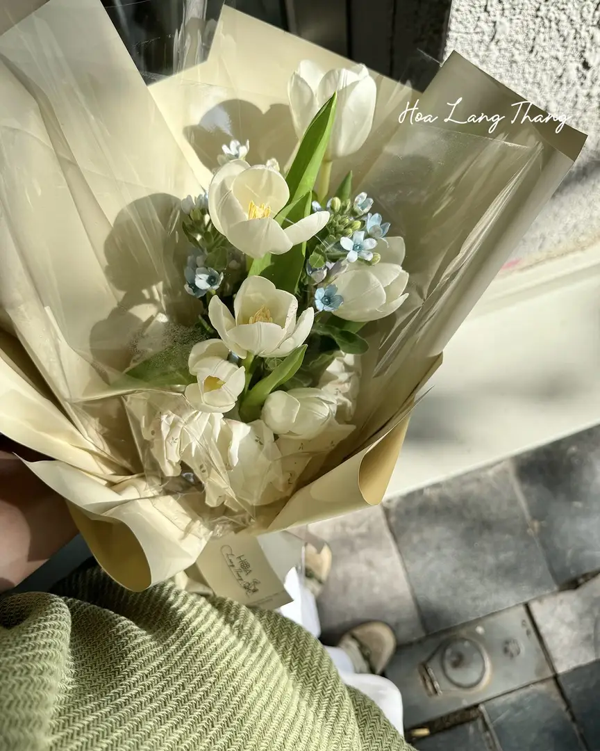 Bó hoa gồm tulip trắng, hoa baby và hoa xanh làm điểm nhấn