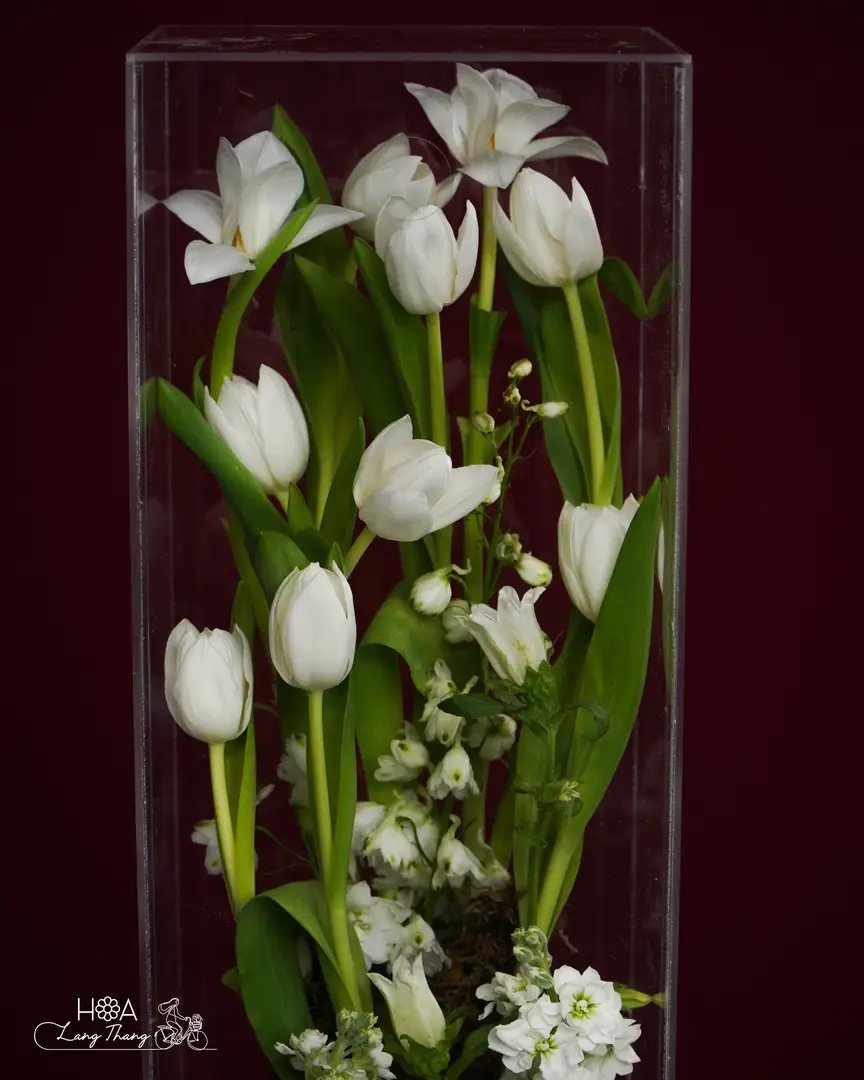 Bình hoa với tulip trắng và hoa nhỏ, cắm trong hộp thủy tinh