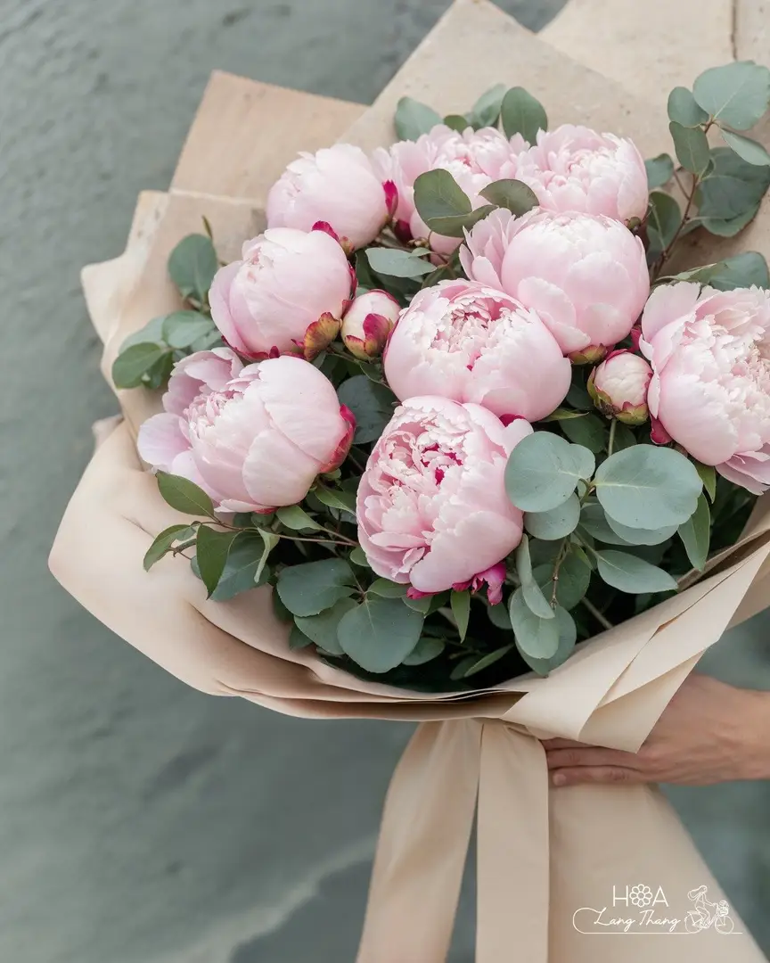 Bó hoa hồng nhạt với nhiều bông rực rỡ, cắm thành hình tròn. Chất liệu gói sang trọng