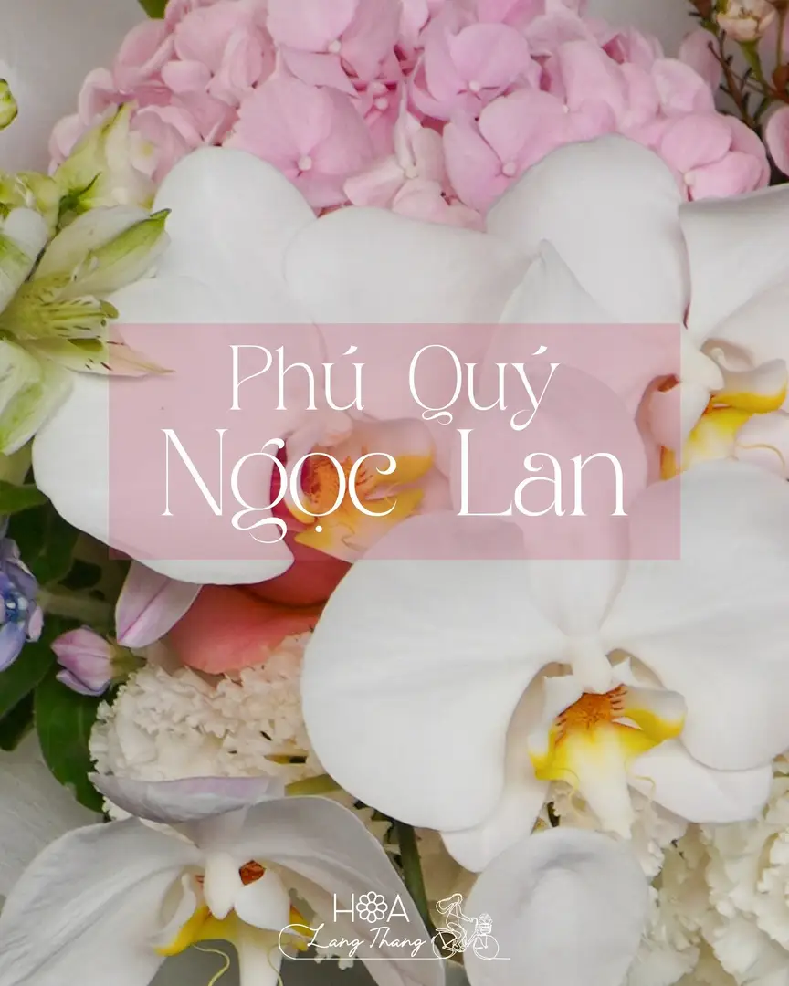 Bình hoa lan hồ điệp và các loại hoa khác, kiểu cắm trang nhã