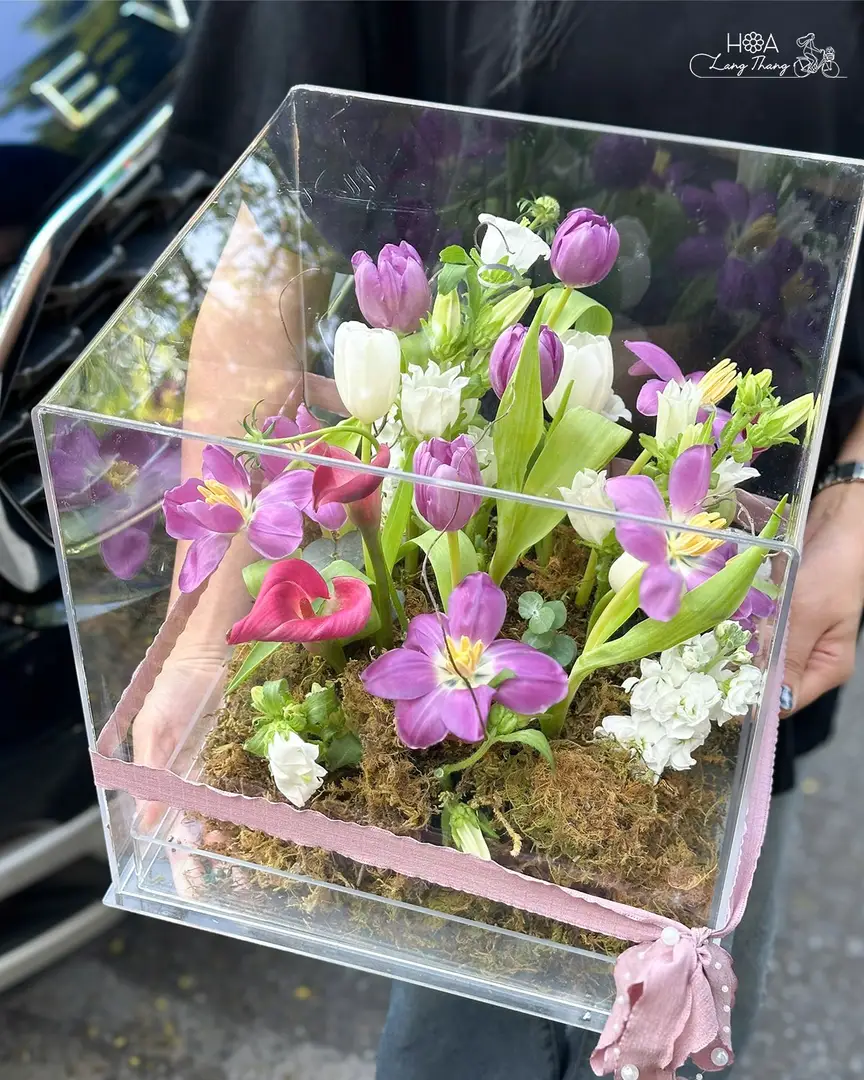Hộp hoa mica vuông - vẻ đẹp hoàn hảo, vẹn tròn, điểm nhấn hoa tulip tím, trắng giúp tổng thể hiện lên rất lãng mạn và vô cùng