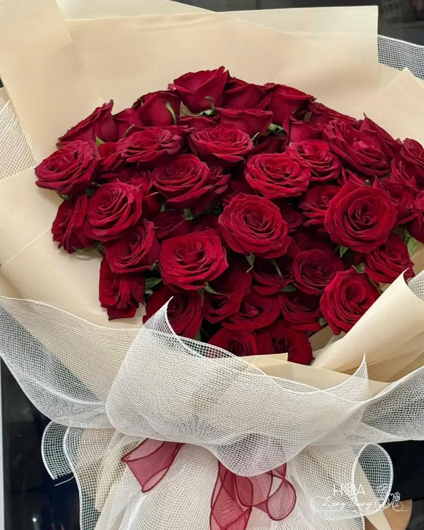 Mua Hoa Cầu Hôn Tại Hà Nội: Địa Chỉ Uy Tín Hoa Lang Thang