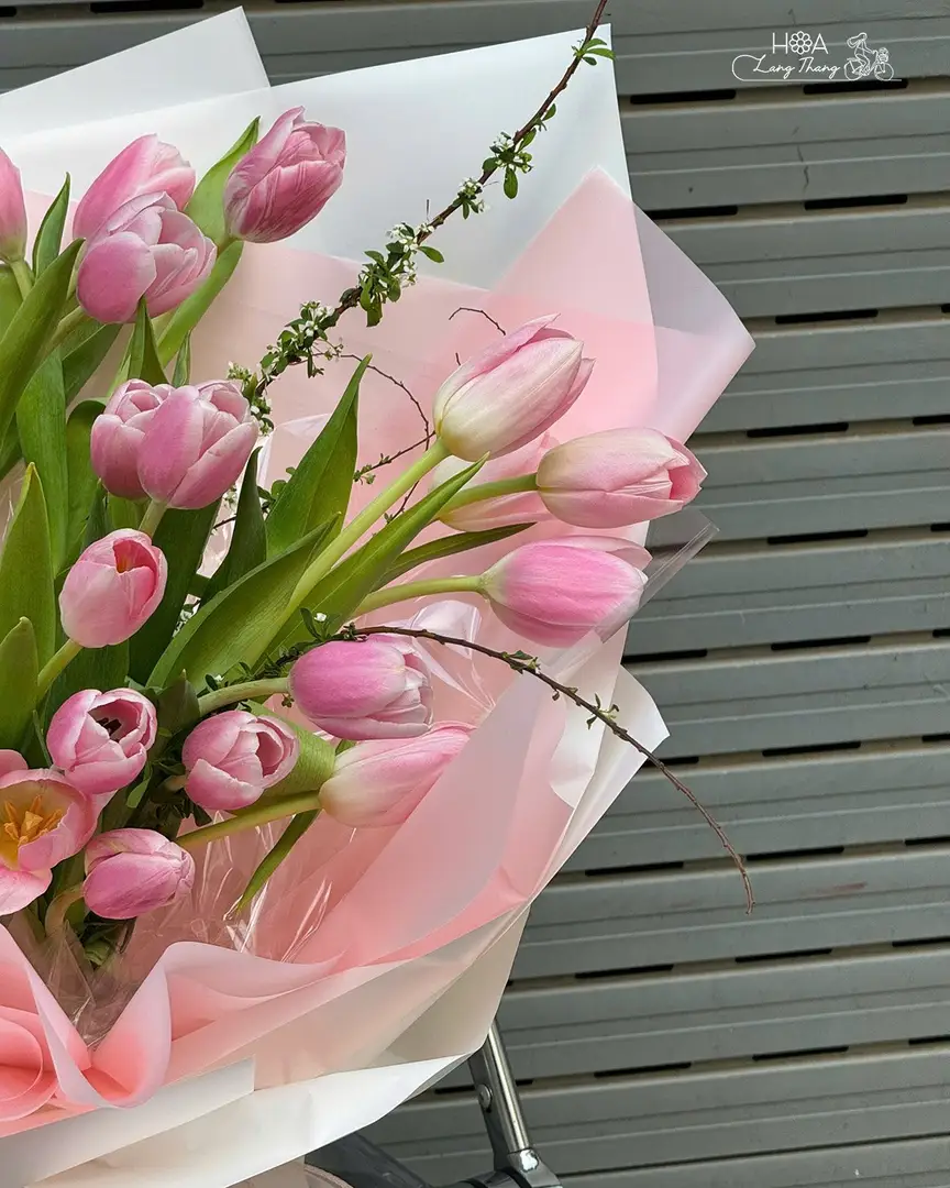 Bó hoa tulip hồng cắm tinh tế, thích hợp cho nhiều dịp hấp dẫn