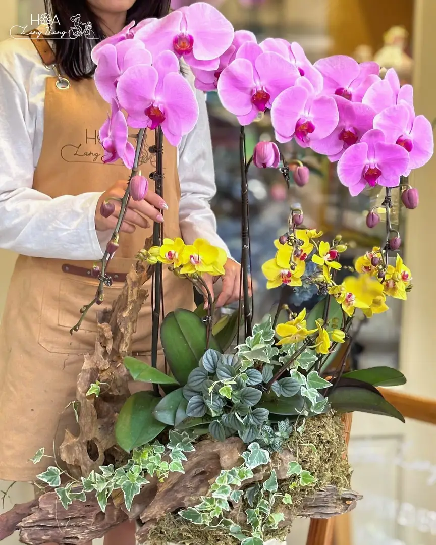 Bó hoa lan hồ điệp hồng và vàng đẹp mắt, kiểu cắm nghệ thuật