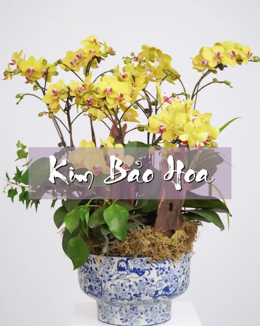 Giá hoa chia buồn Hà Nội – Hoa tươi nhập khẩu chất lượng cao