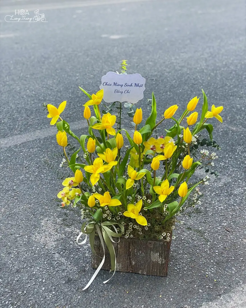 Như tia nắng vàng rực rỡ xuyên qua sương mù ngày đông, lẵng hoa tulip mang theo hơi ấm và niềm vui, sưởi ấm ngày đông Hà Nội 