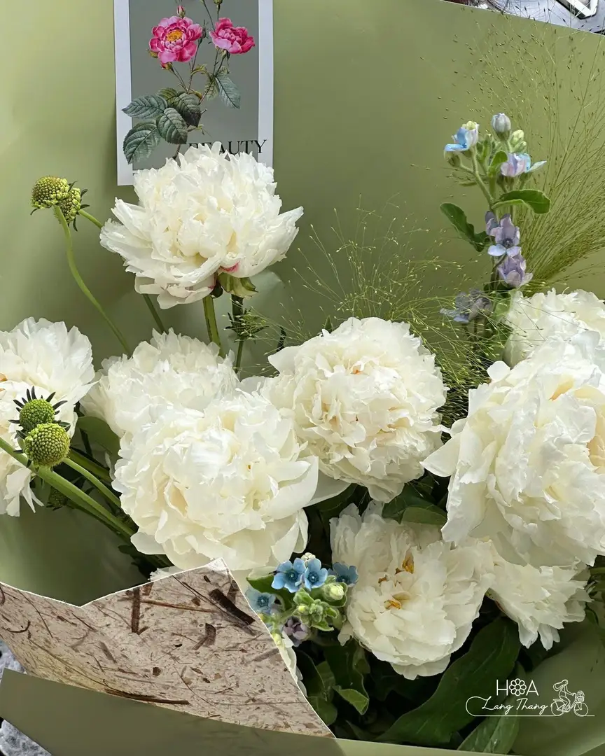 Bouquet gồm hoa peony trắng và hoa baby, cắm tao nhã, thích hợp tặng trong dịp đặc biệt