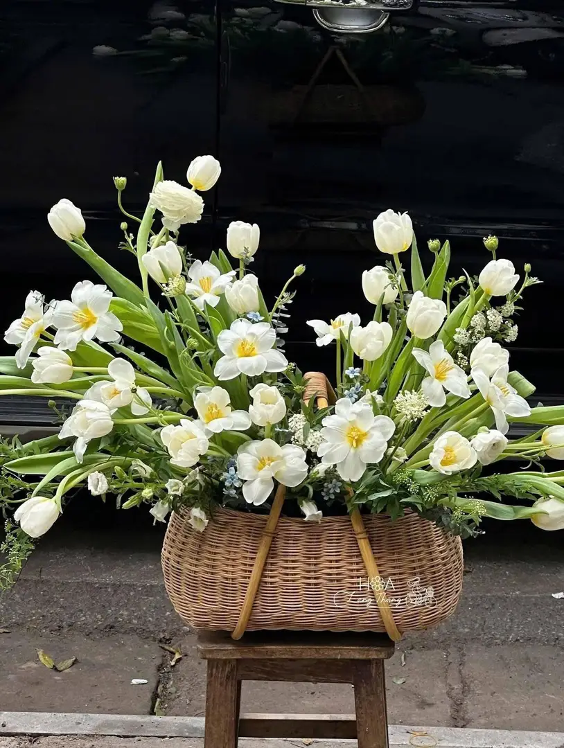 Giỏ hoa với tulip trắng và hoa baby, kiểu cắm dạng rủ