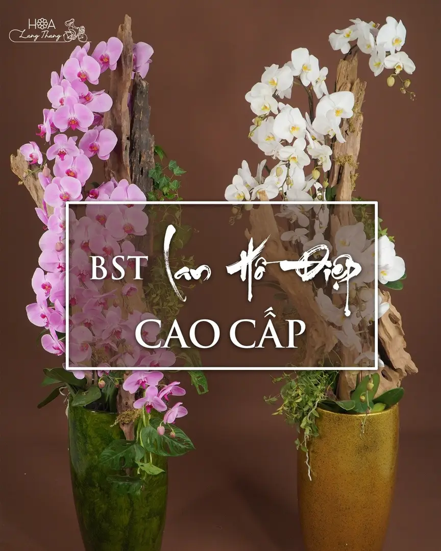 Đặt Hoa Khai Trương Hà Nội – Bó Hoa Sang Trọng & Đẳng Cấp