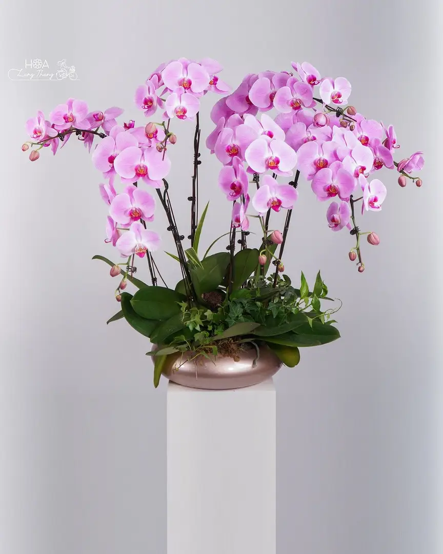 Lẵng hoa <a href=