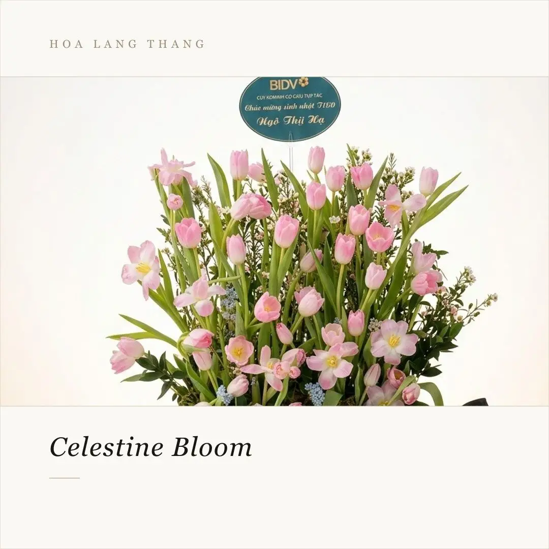 Bó hoa Celestine Bloom với tulip hồng và các loại hoa khác, trang trí tinh tế