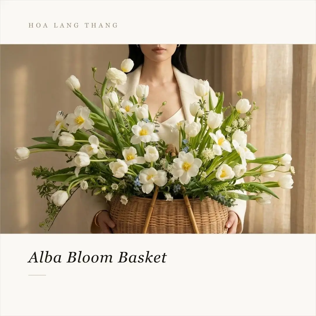 Giỏ hoa Alba Bloom với tulip và hoa lan trắng, phong cách cắm hiện đại