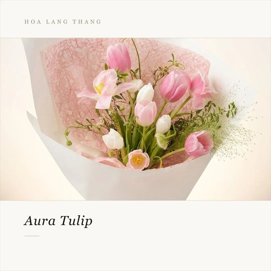 Bó hoa tulip đẹp với nhiều màu sắc, kiểu cắm bắt mắt