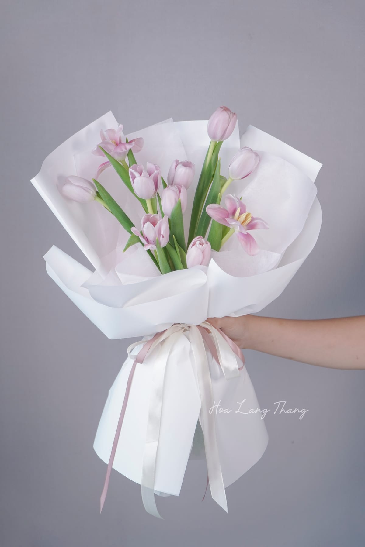 Hoa Salem Trắng Giá — Chọn Hoa Tươi Chất Lượng Cao Tại Hà Nội