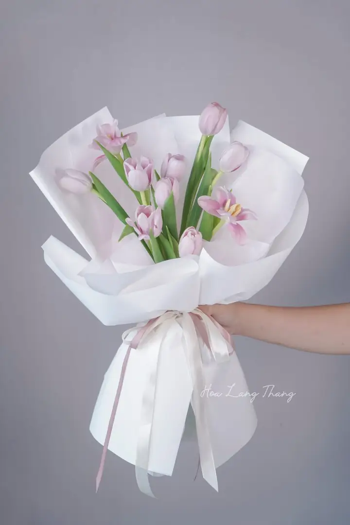 Hoa Salem Trắng Giá — Chọn Hoa Tươi Chất Lượng Cao Tại Hà Nội