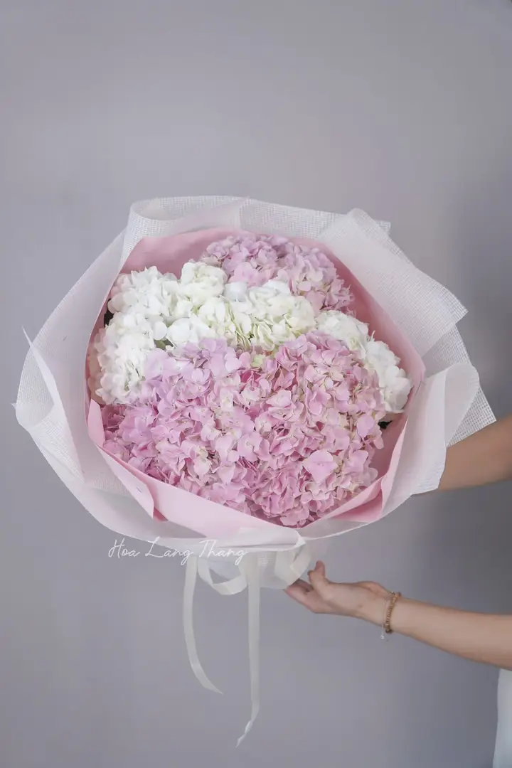 Hoa tặng người ốm bệnh — Sự chăm sóc tinh tế tại Hà Nội
