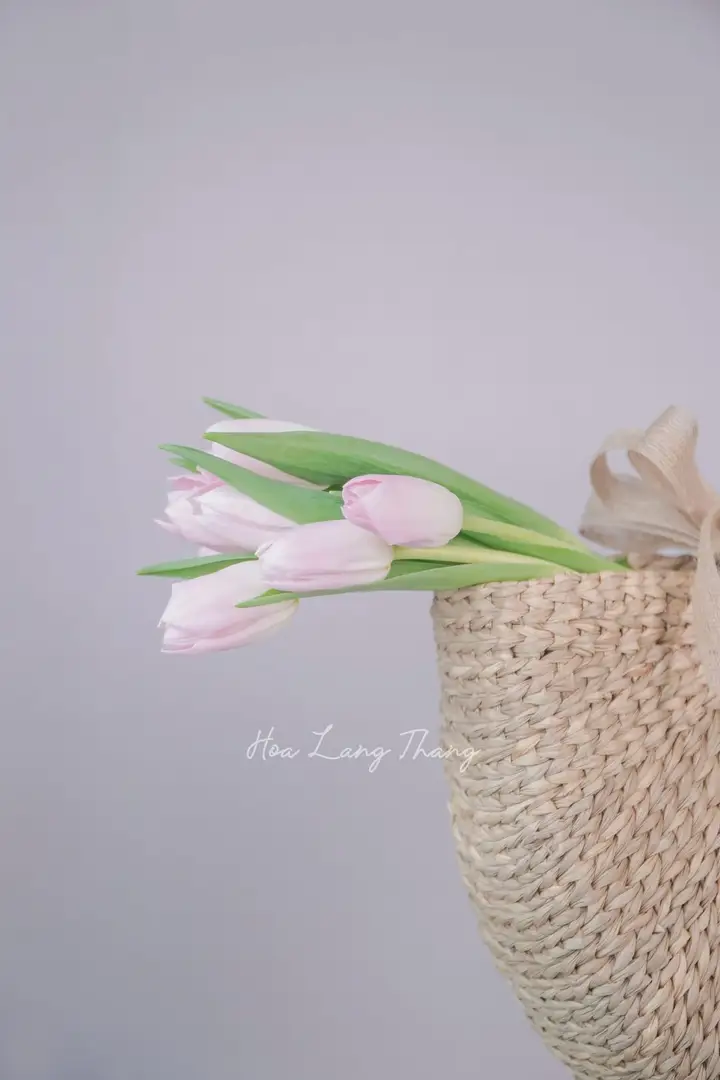 Hoa tặng đối tác nước ngoài tại Hà Nội — lựa chọn sang trọng & chuyên nghiệp - Hoa Lang Thang Hà Nội