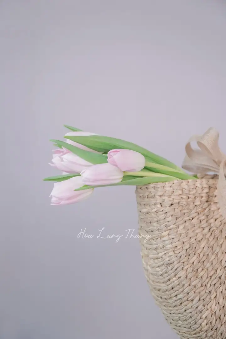 Điện hoa mừng em bé chào đời ở Hà Nội – Giao 2h nội thành - Hoa Lang Thang