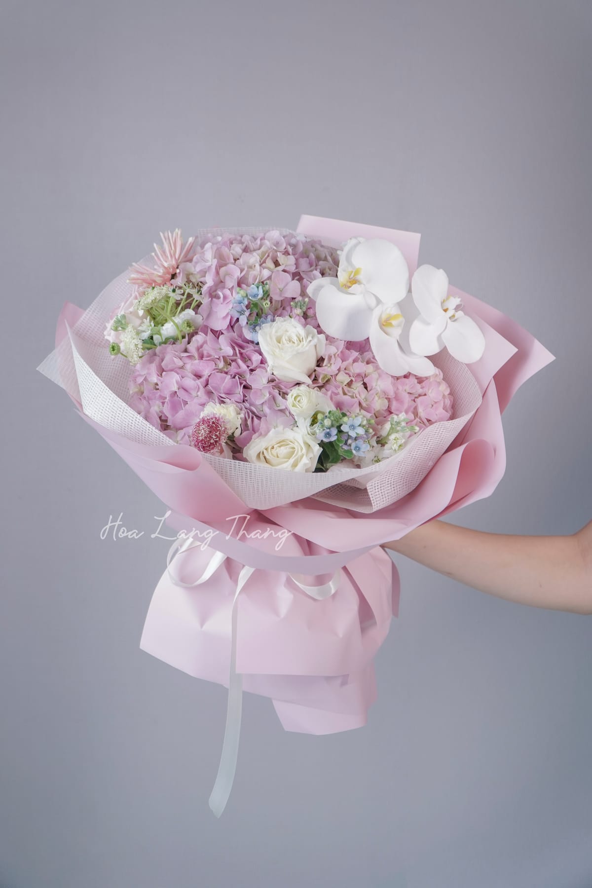 Kệ hoa red naomi Đỏ - y nghia hoa salem | Hoa Lang Thang